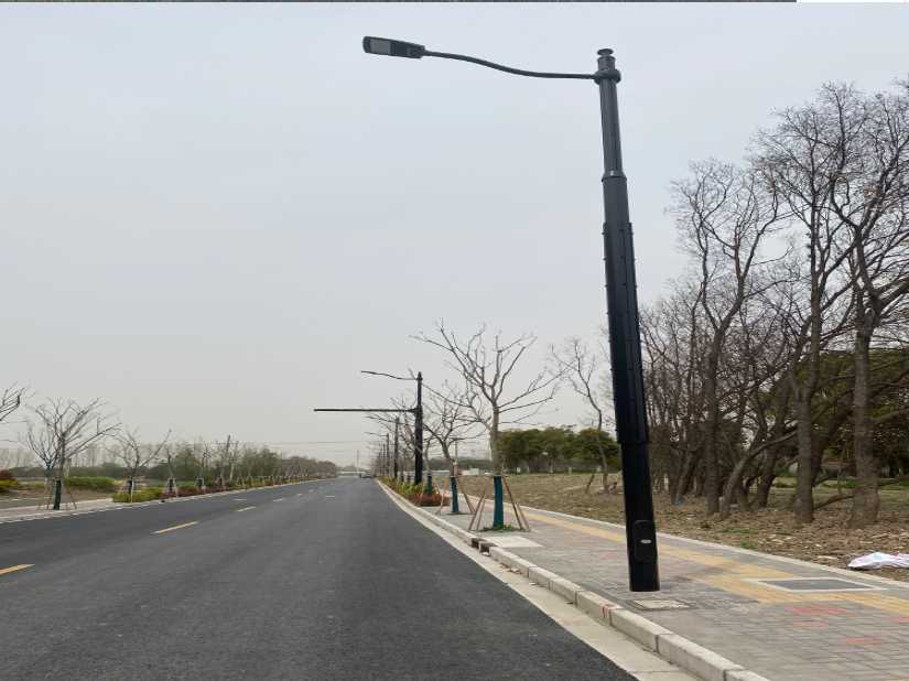 紫云苗族布依族自治县上海综合杆 太阳能路灯工程